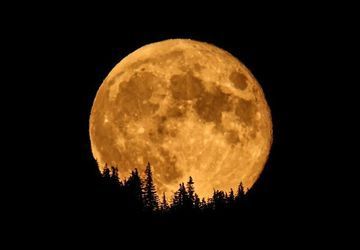 Image for story: Photos: Harvest Moon shines in night sky across western Washington